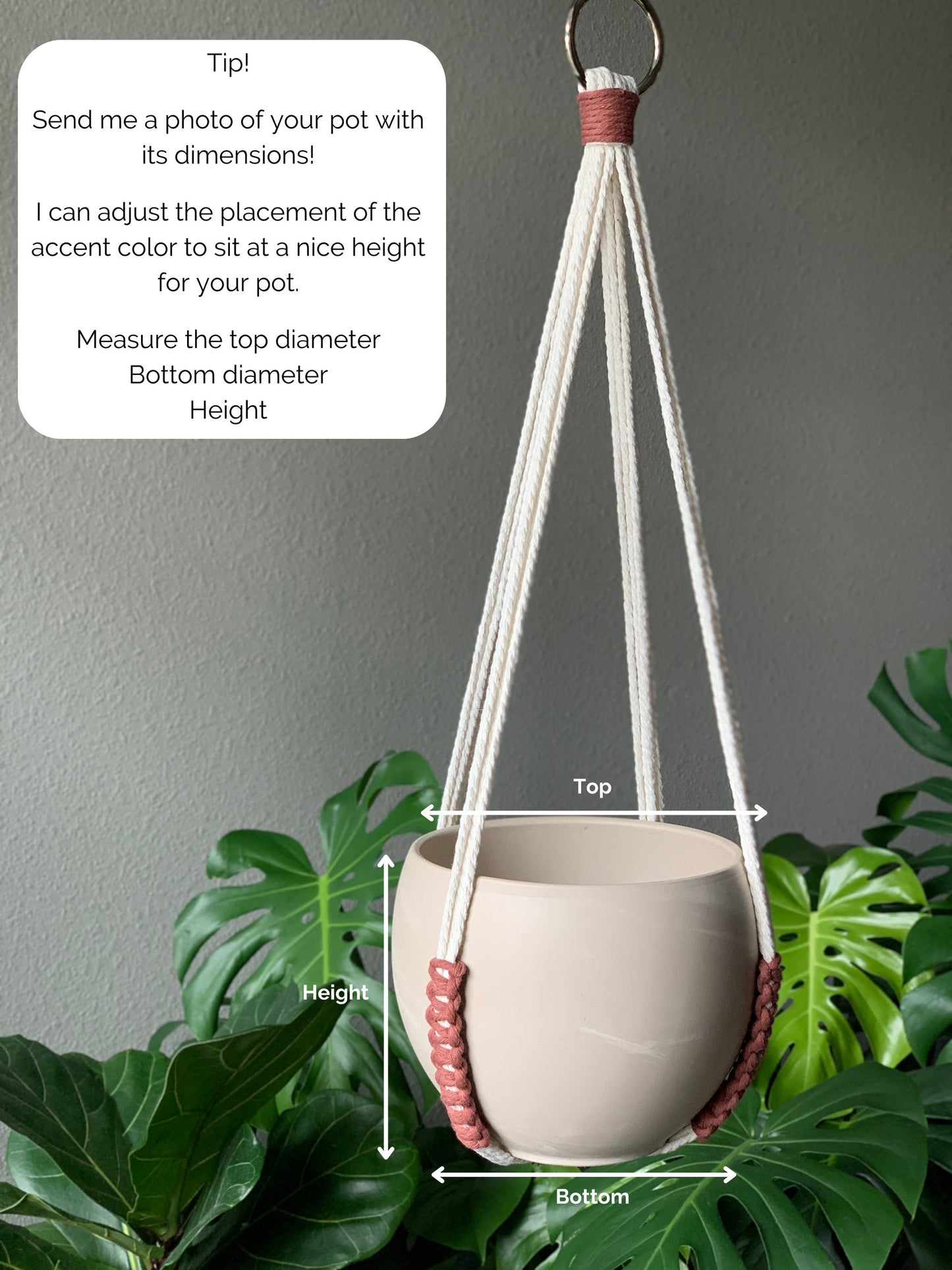 Minimalist No Tassel Macrame Plant Hanger | Modern Slim Design with Customizable Accent Colors - No Tail