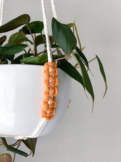 Minimalist No Tassel Macrame Plant Hanger | Modern Slim Design with Customizable Accent Colors - No Tail