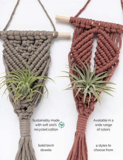 Macrame Air Plant Holder, Succulent Planter, Wall Planter, Air Plant Hanger, Wall Plant Holder, Small Plant Hanger,