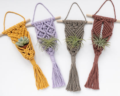 Macrame airplant hangers in 4 different patterns and colors. They are attached to a wood dowel and have a hanging cord in matching colors. The left features a small succulent. The other 3 are holding small air plants.