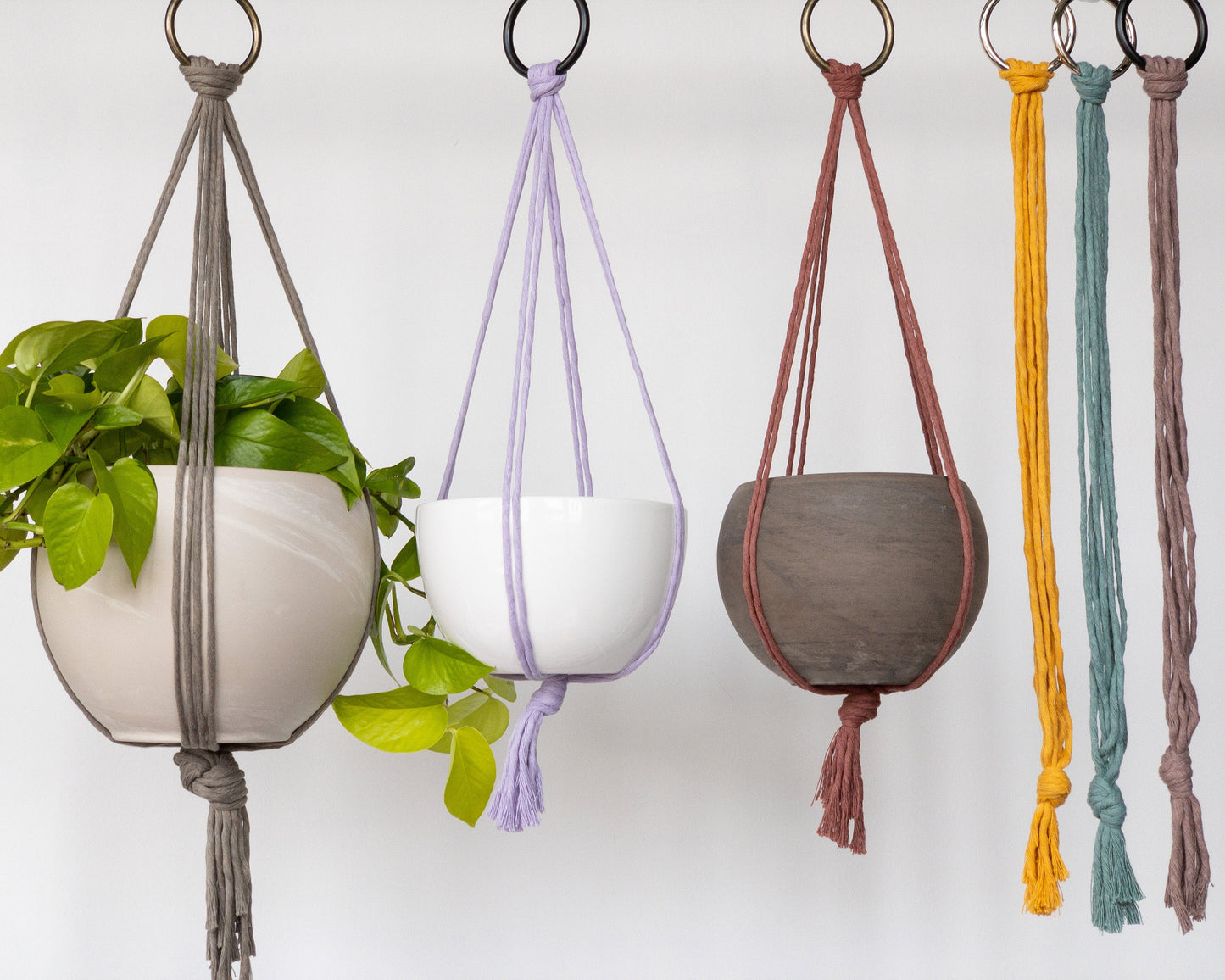 simple modern macrame plant hangers: taupe, lavender, rosewood, yellow, teal and purple. They are attached to a metal ring. They have 8 straps that can be arranged in different configurations with a simple knot at the bottom and small tassel