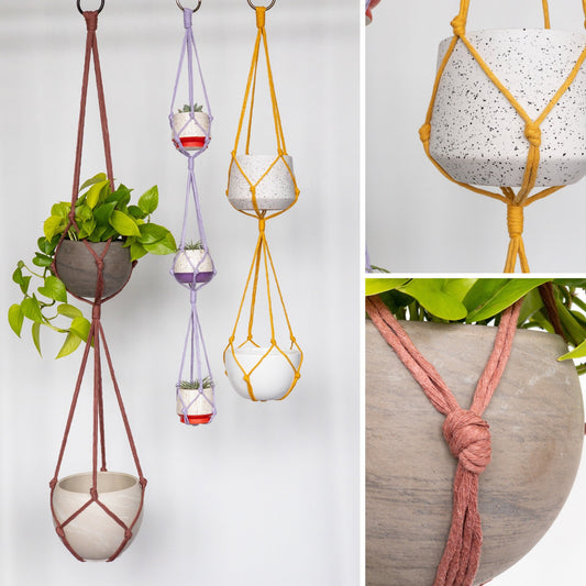 Three sleek plant hangers in various colors and lengths. One has three levels holding 3 pots, the others have two levels holding two pots.